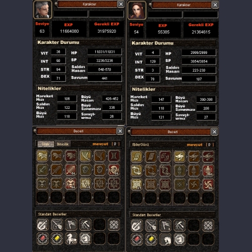  63 LEVEL 3G BÜYÜLÜ SİLAH + 2G ŞAMAN