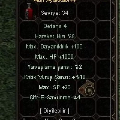  10 KRITIKLI HP\LI AYAKKABI 5 EFSUN