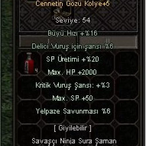  +5 CENNETGÖZU KOYE 2.000 HP KRITIK