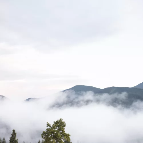  +7 ASLAN AĞZI KALKAN SERSEM 20 EXP 6 GÜÇ