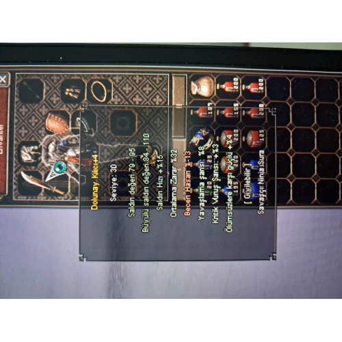  32 ORTALAMA DOLUNAY RESIMDE