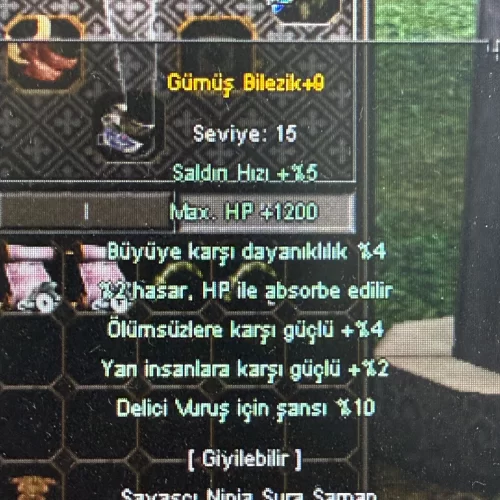  +9 gümüş bilezik 10 delici