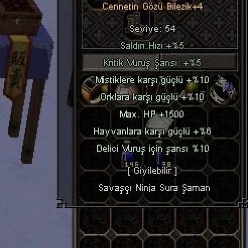 10 DELİCİ + 1500 HPLİ CENNET BİLEZİK