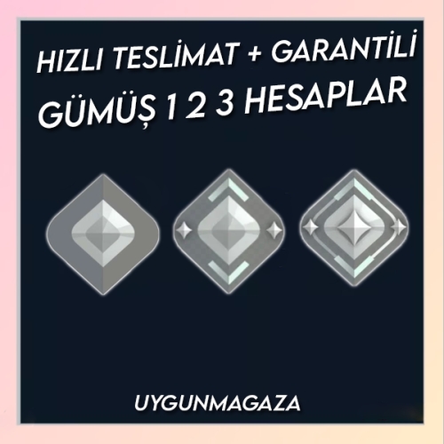  TR - GÜMÜŞ - MAİL DEĞİŞEN - ULTRA DÜŞÜK MMR!
