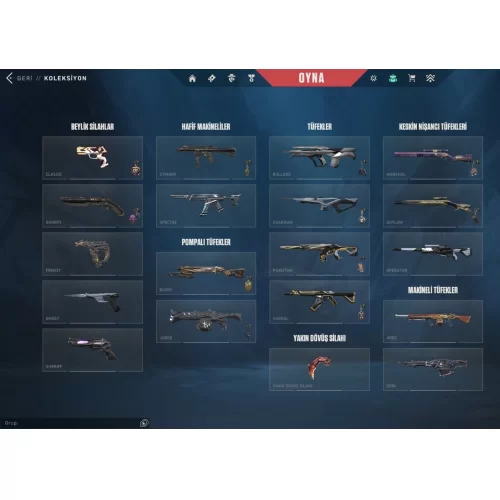  40.000₺ Yatırılmış full hesap