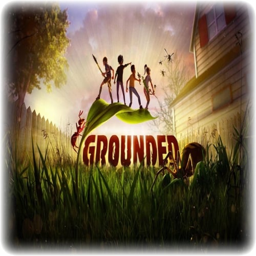  Grounded - GARANTİ