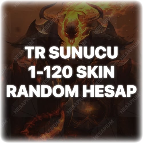  LOL 1-120 SKIN GARANTİLİ RANDOM