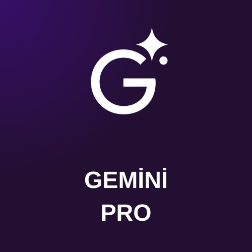  Gemini Pro 1 Yıl Hesap Satın Al
