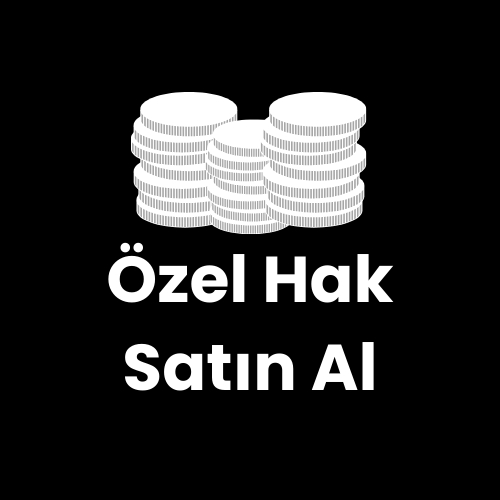  The Oyun Puan