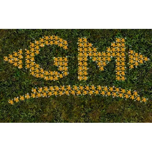  OYUN İCİ OYUN DİSİ SINIRSIZ YANG SATILIR PARCA PARCA VERİLİR EFENİM