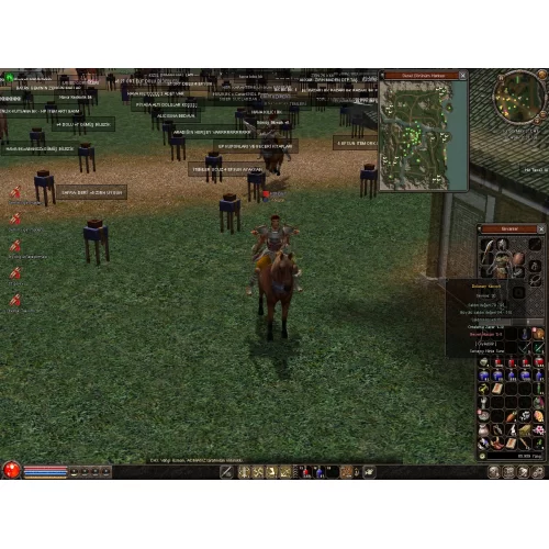  zihinsel 35 lv atı hazır