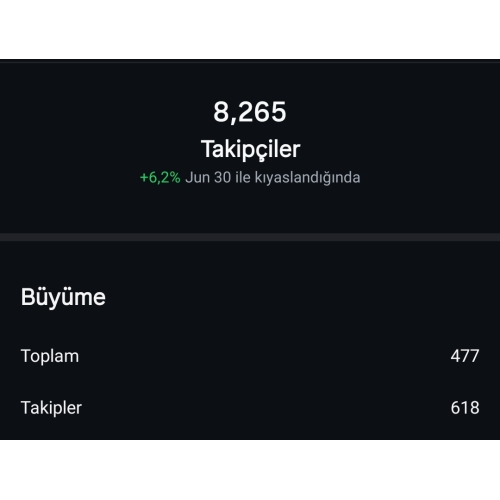 Instagram Hesabı 8265 Takipçi
