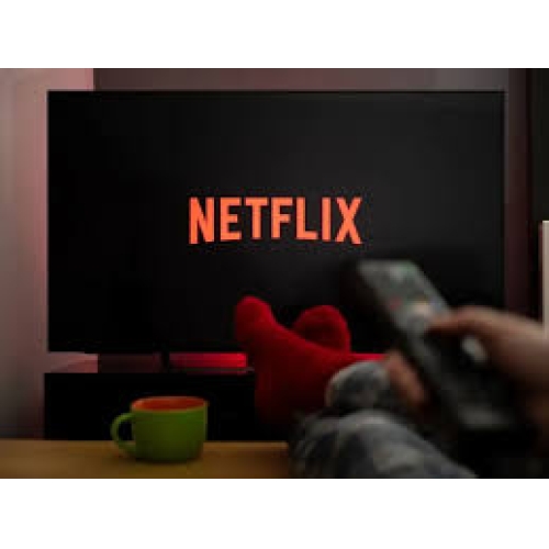  Netflix hesap 30 gün boyunca garantili kefilim