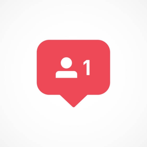  İnstagram 25 Organik Takipçi + Düşmeyen+ Garantili