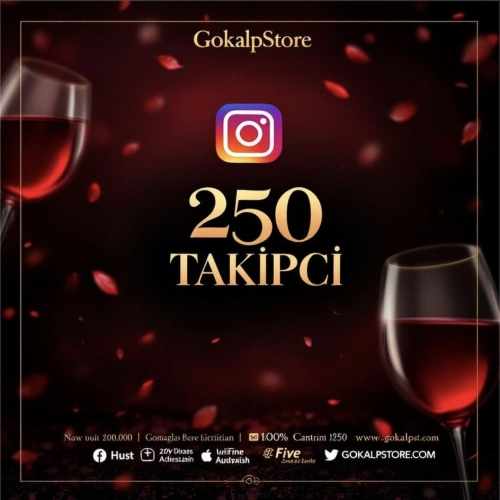  250 TAKİPÇİ INSTAGRAM