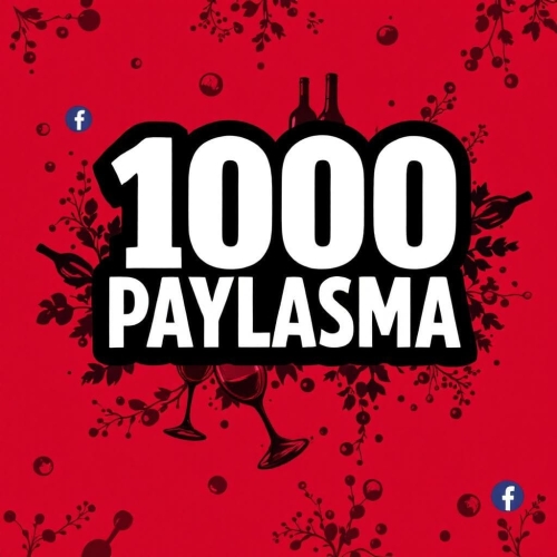  1000 PAYLASMA FACEBOOK