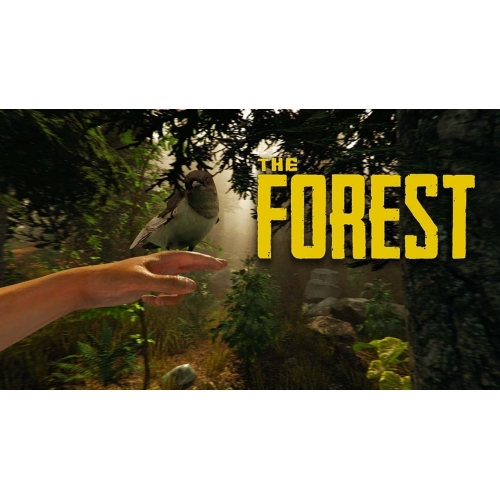  The Forest Steam Hesap