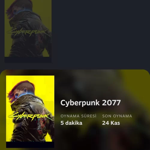  Cyberpunk Garantili Stem Hesabı