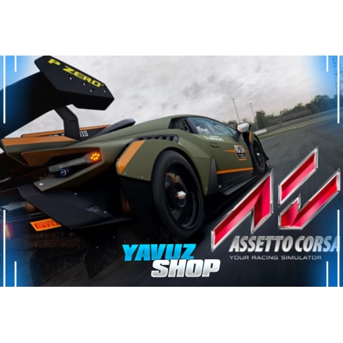  Assetto Corsa + Garanti