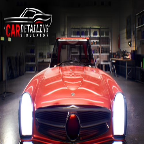  Car Detailing Simulator + Garanti