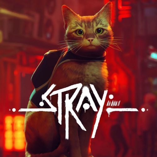  Stray + Garanti