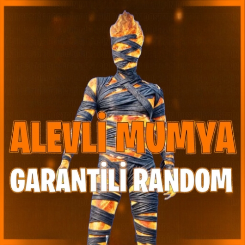  ALEV MUMYA GARANTİLİ - PUBG MOBİLE RANDOM HESAP