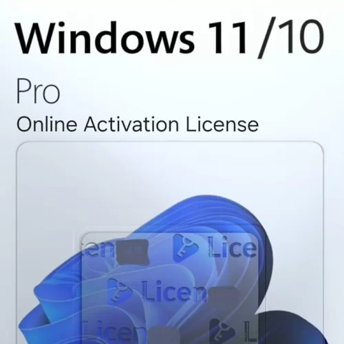  W10 W11 LİSANS KEY