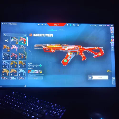  Valorant satlik hesap