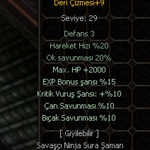  DERİ ÇİZME +9