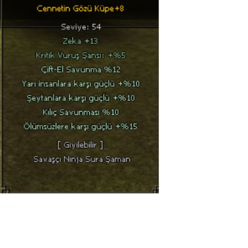  +9 şahin kalkan +9 inci kolye +8 cennet küpe +9 deri çizme- Kopya