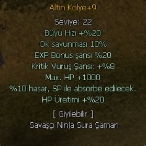  +9 ALTIN KOLYE