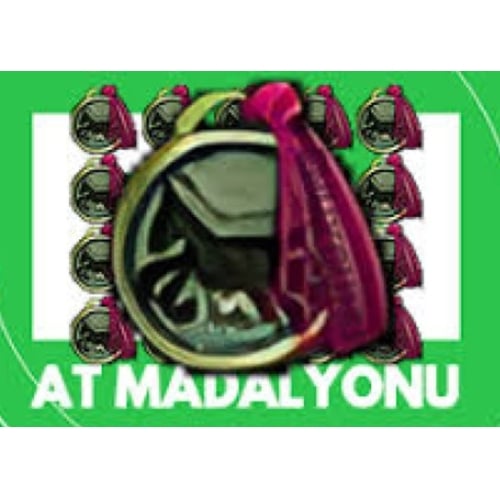  60 MADALYON 350TL