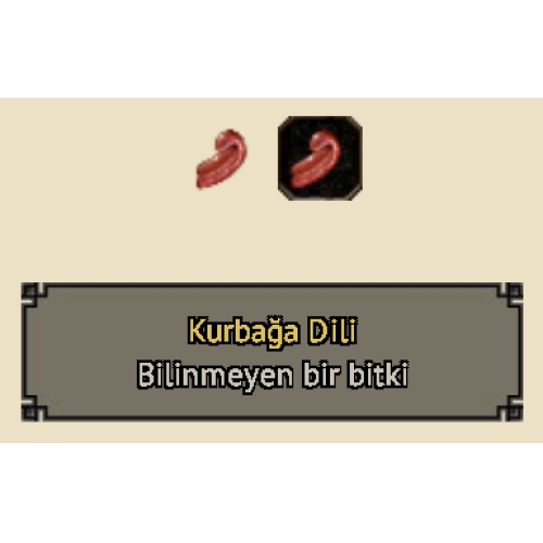  10 LU KURBAĞA DİLİ- Kopya