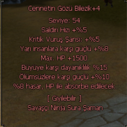  ELİT WS LİK CENNET BİLEZİK- Kopya