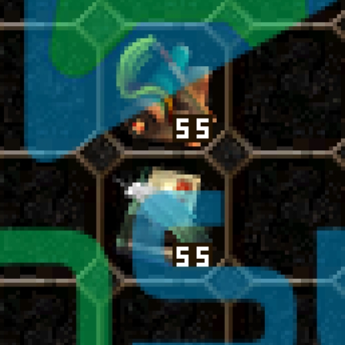  55