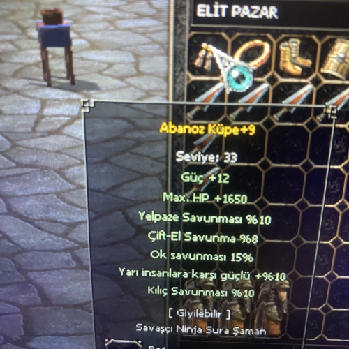  +9 ABANOZ ELİT WS