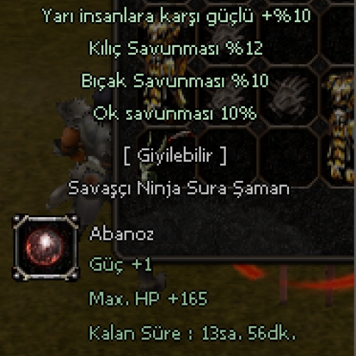  +9 55 YARI 10 SAVLI ELİT ABONOZ KÜPE