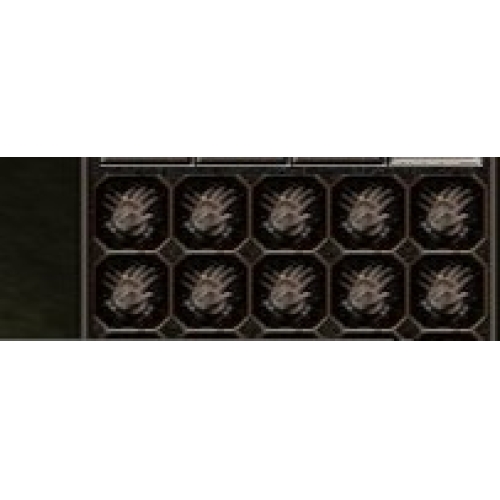  10 ADET HIRSIZ ELDEVİNİ  250 TL