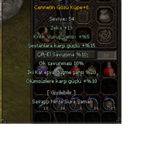  +8 Cennetin Gözü Küpe