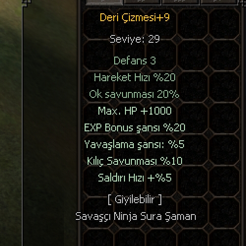  DERİ ÇİZME +9