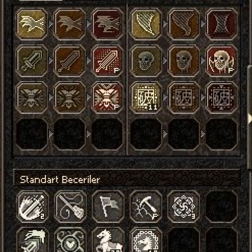  60 LEVEL 3 PERFECT BÜYÜLÜ SİLAH SURA HER ŞEY İLE VERİLECEKTİR