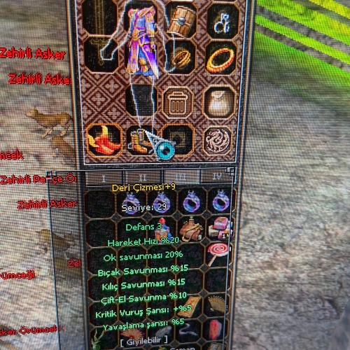  65 LVL İYİLEŞTİRMECİ ŞAMAN İTEMLİ