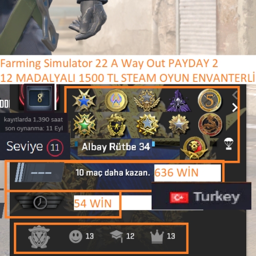  12 MADALYALI 34 LV Farming Simulator 22 Marvel\s Avengers 1500 TL STEAM OYUN ENVANTERLİ STEAM LV 11