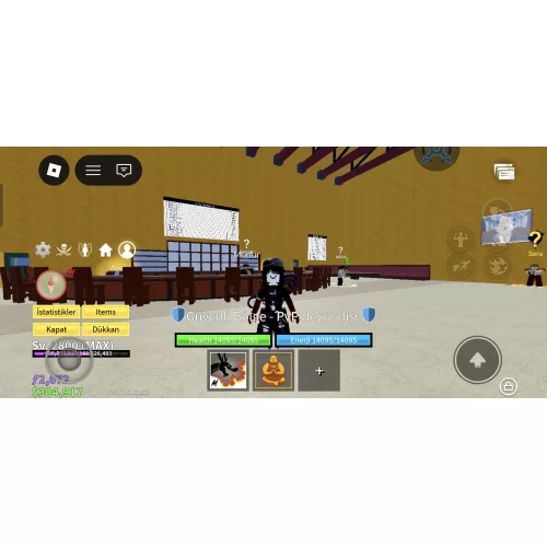  Bloxs fruit hesap Max lvl2800