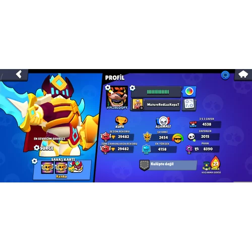  29480 KUPA 84 KARAKTER 148 KOSTÜM MÜKEMMEL HESAP