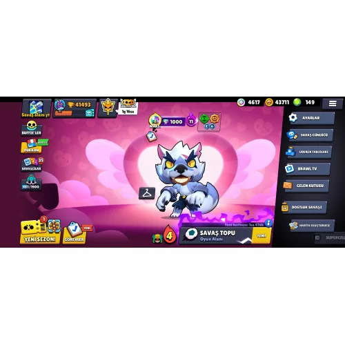  172 SEVİYELİ ESKİ HESAP