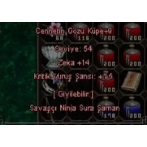 cennet gözü küpe +9