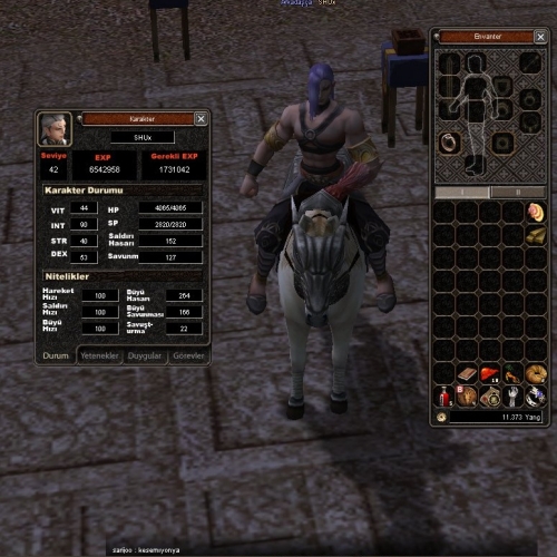  42  Level Karabüyü Sura Atı Zırhlı - Kopya #208763