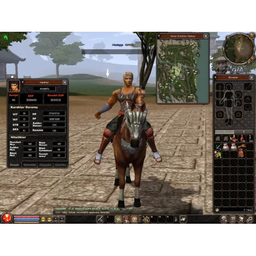 40 lvl bedensel G1 skilli at zırhlı