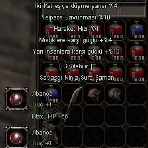  65 lW 3 G Lİ ZİHİNSEL EFSANE İTEMLİ + ŞAMAN 41 LW 2 G Lİ - Kopya #190784